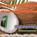 کتاب تنها راه رسیدن به تکامل و سعادت ابدی و چشیدن لذات واقعی جلد 2